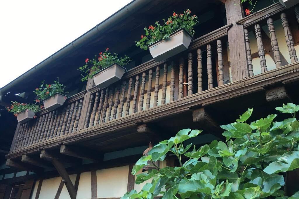 Gite Alsacien Eckwersheim ภายนอก รูปภาพ