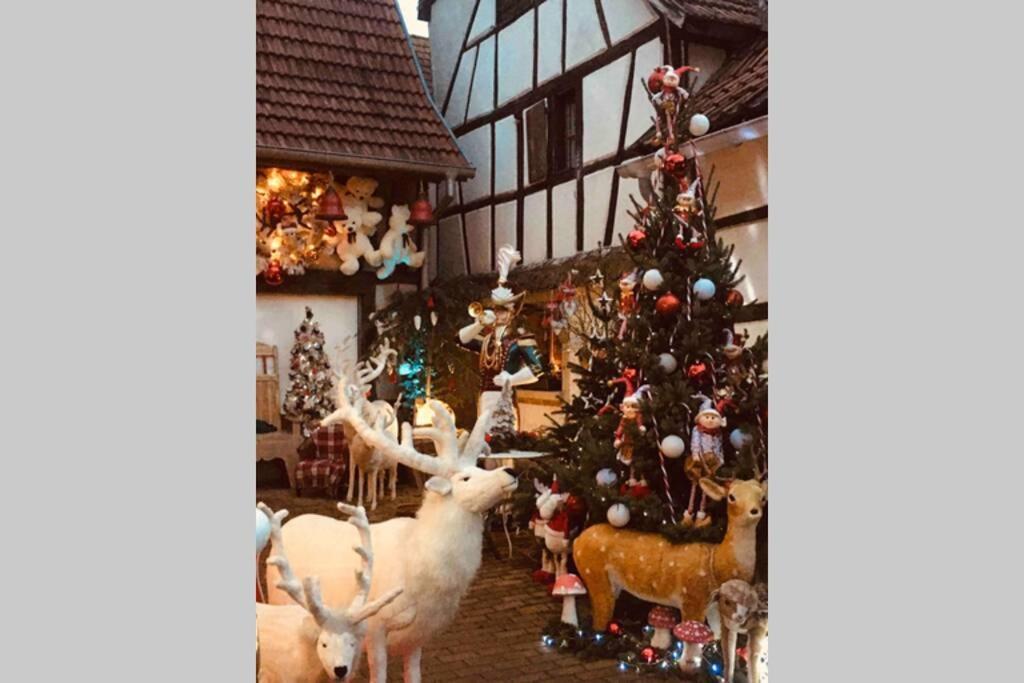 Gite Alsacien Eckwersheim ภายนอก รูปภาพ